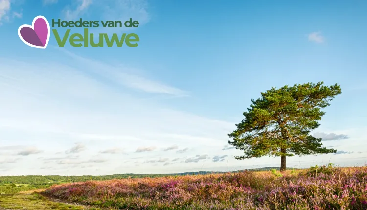 Hoeders van de Veluwe